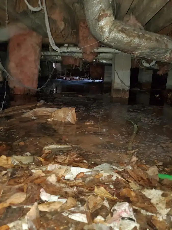Crawl space flood assessment for Leak Detection & Repair in Eidson Road