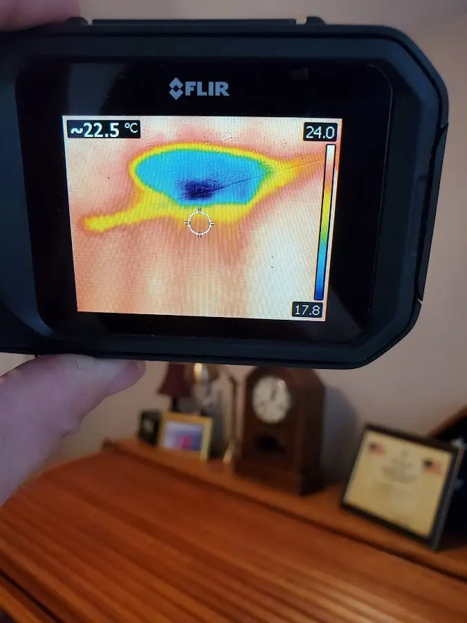 Thermal imaging inspection for water damage in Eidson Road